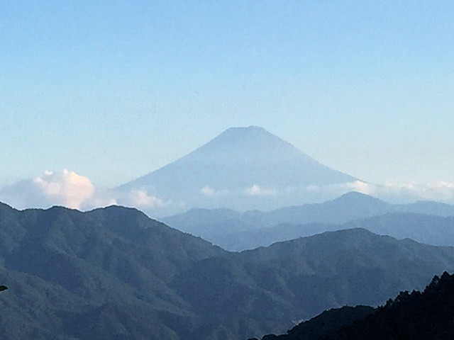 柳沢