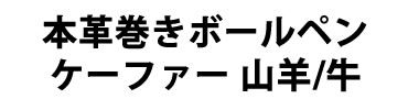 本革巻きボールペン 概要