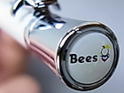 %e8%bf%91%e8%97%a4%e6%8b%93%e5%bc%a5-bees%ef%bc%88%e5%b0%8f%ef%bc%89